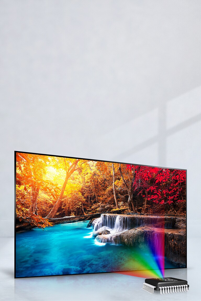 Visos spalvos įgyja dar neregėto gyvumo